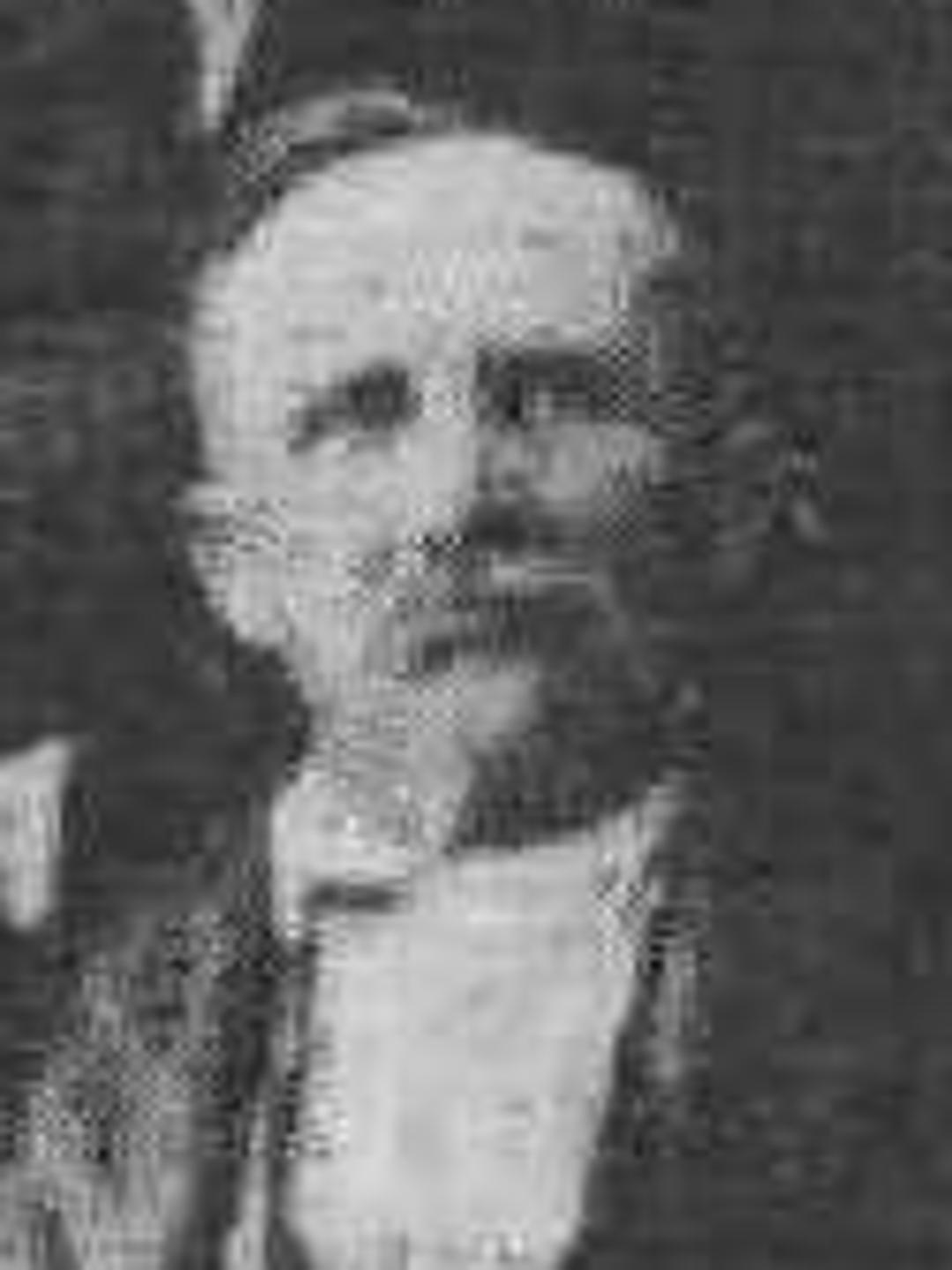 John Griffith Timothy Jr. (1855 - 1937) Profile
